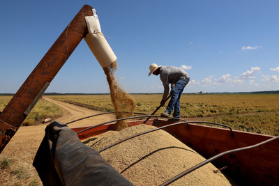 Com técnicas de gerações, Santa Isabel do Ivaí lidera produtividade do arroz irrigado no Paraná